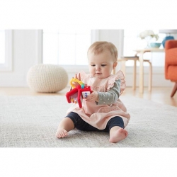 Fisher Price - Piszczałka akordeonik DRD88-106270